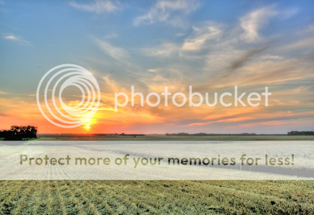 IMAGE: http://i680.photobucket.com/albums/vv162/mylomazda6/DSLR/DSLRpics093_4_5_1_2_tonemapped.jpg