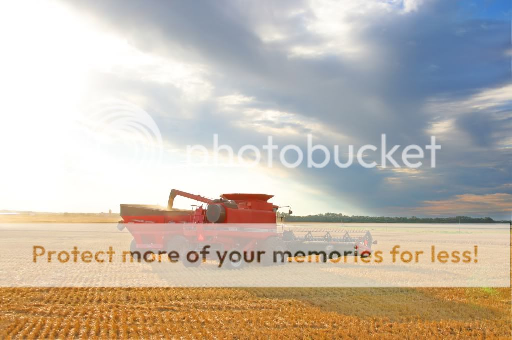 IMAGE: http://i680.photobucket.com/albums/vv162/mylomazda6/DSLR/DSLRpics253_4_5_fused.jpg