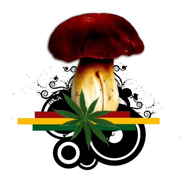GIFS ANIMADOS DE REGGAE gifs animados de reggae:
