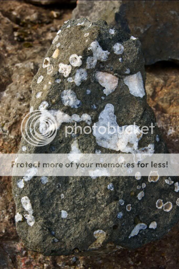 “Photobucket”