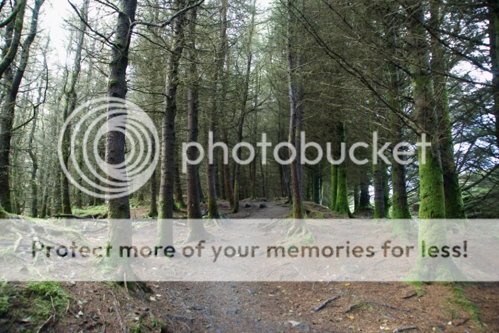 “Photobucket”