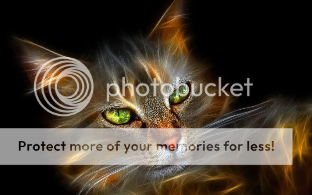 Art-FracalCat01.jpg
