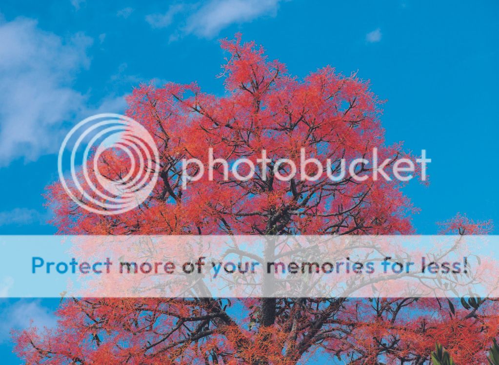 DSC-NatureLandscape184.jpg