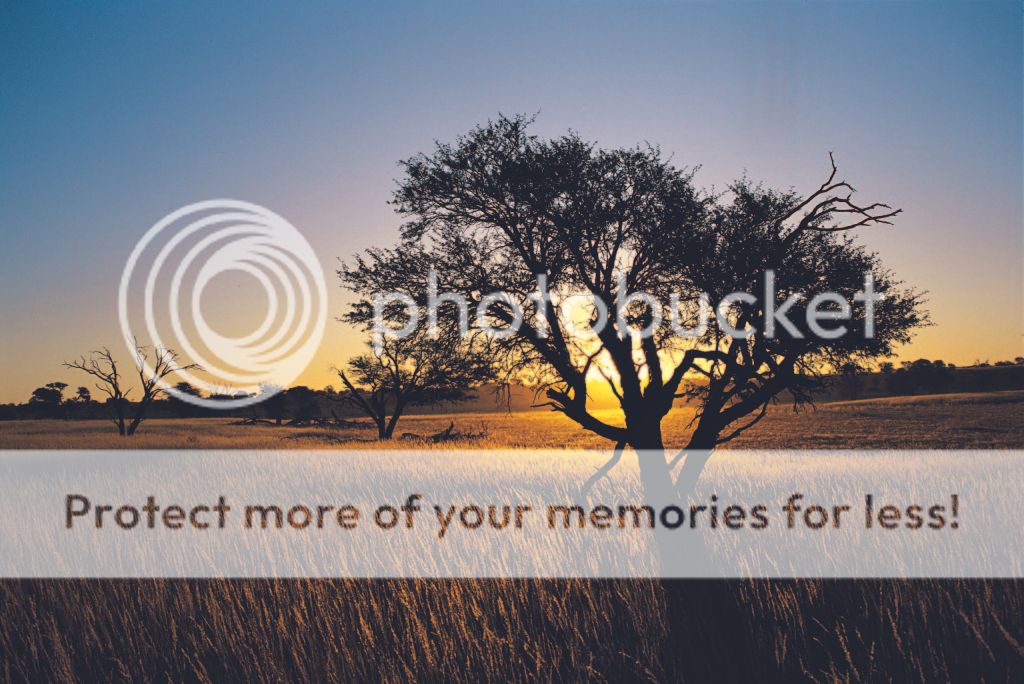 DSC-NatureLandscape188.jpg