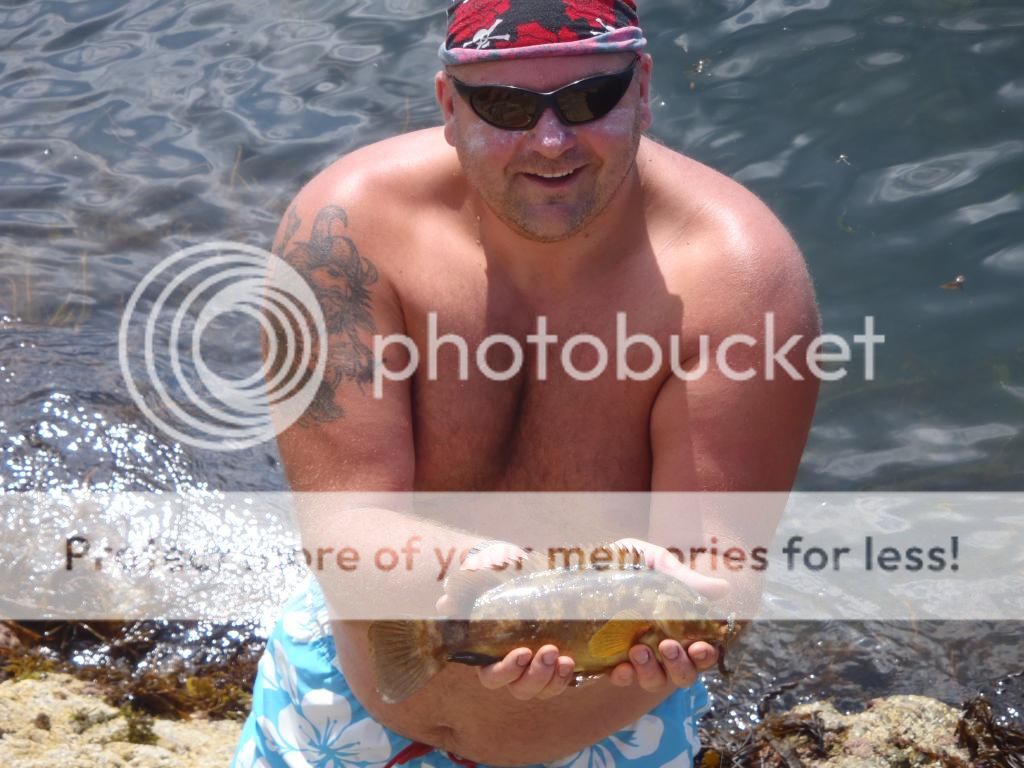 Cable Bay 20th July North Wales Sea Fishing Reports Sea fishing Forums • Sea fishing Forums Cable Bay 20th July North Wales Sea Fishing Reports Sea fishing Forums • Sea fishing Forums