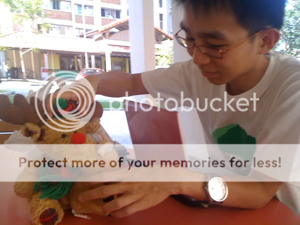 alternative text