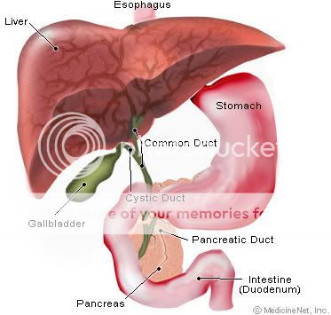 Montreal police scanner frequencies