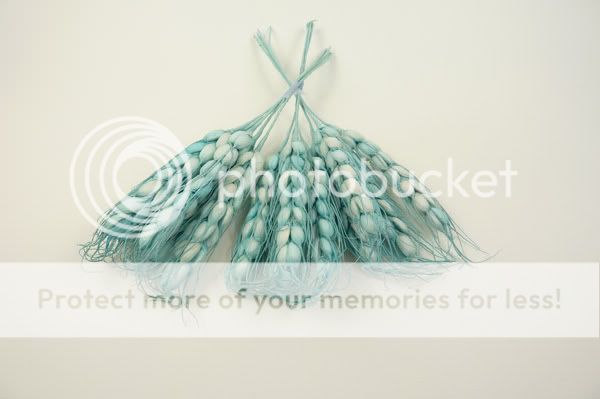 blue sheaf of wheat