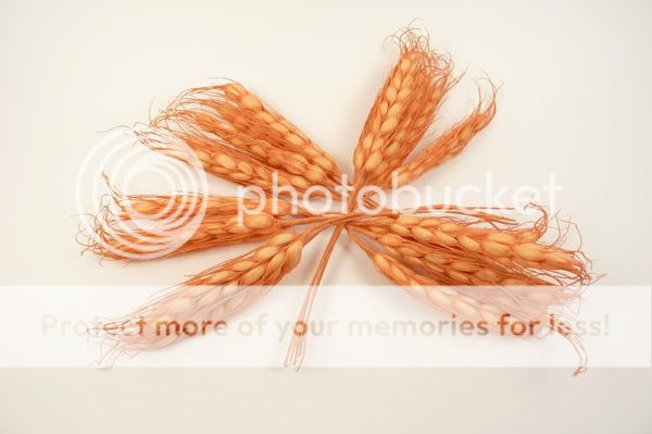 orange sheaf of wheat