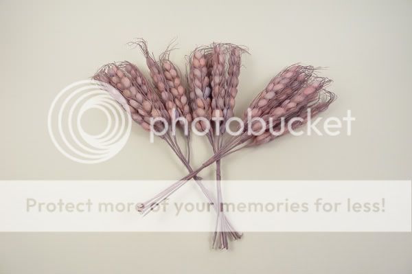 pink sheaf of wheat